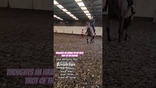 Thoughts When Trotting A Horse  how to ride a trotting horse [upl. by Annawaj]