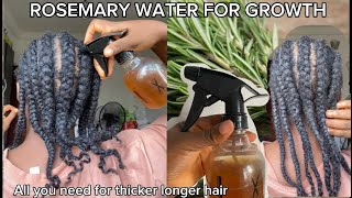 ROSEMARY FOR FULLER LONGER HAIR NO MORE HAIR LOSS [upl. by Nilloc]