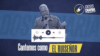 Dosis Diaria Roka  Cantemos como el ruiseñor [upl. by Siram]