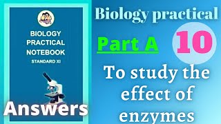 To study the effect of enzymes biology practical class 11 experiment 10 part a answers [upl. by Llenyar748]