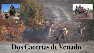 Dos Cacerías de Venado Colabalnca con Rifle en Grandes Trofeos [upl. by Inger472]