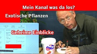 Exotische Pflanzen Geheime Daten der Videos erfasst von Detlef Römisch brisant und interessant [upl. by Linzy467]