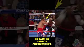 TERENCE CRAWFORD DROPS GAMBOA terencecrawford gamboa boxing [upl. by Eillac]