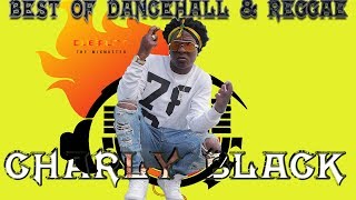 Charly Black Mixtape Best of Dancehall Reggae Mix by djeasy [upl. by Laurena]