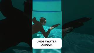 UNDERWATER AIRGUN NEW AEA HARPOON [upl. by Sawyer]