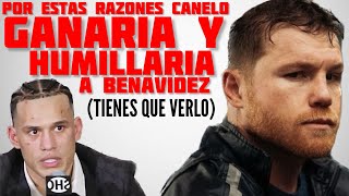 TOP 5 RAZONES Por las que Canelo Álvarez HUMILLARÍA a David Benavidez en las 168 IMPERDIBLE [upl. by Zorah200]