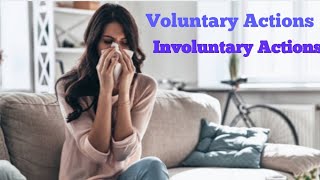 Voluntary Actions and Involuntary Actions  biology important topic Skalearners [upl. by Nadab519]