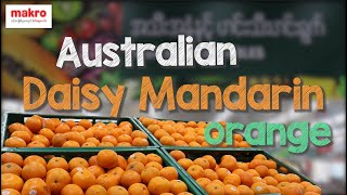 Is Daisy Mandarin Orange just another same orange [upl. by Unity]