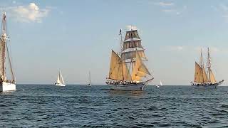 Tall ships and the boats between them [upl. by Elvie991]