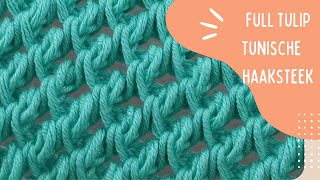 SUPER EASY   Full Tulip steek Tunisch haken  How to Tunisian Crochet [upl. by Corinna837]