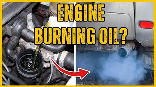 CAR BURNING OIL TOP 5 COMMON CAUSES OF AN INTERNAL OIL LEAK [upl. by Nitneuq188]