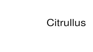 How to pronounce Citrullus [upl. by Marb]