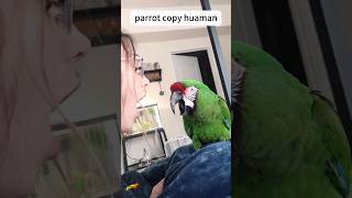 Parrot copy human [upl. by Nawiat]