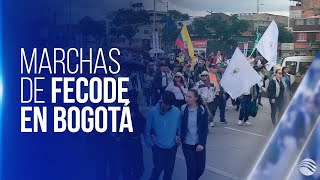 “Gran toma de Bogotá” avanzan las protestas de Fecode contra ley estatutaria de educación [upl. by Eyllom]