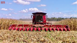 CASE IH 16 Row Corn Head [upl. by Kopans]