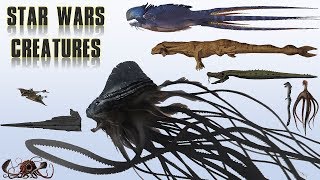 20 Biggest Star Wars Monsters  Explained [upl. by Mohammed]