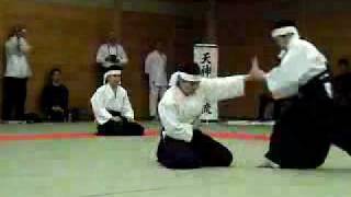 Tenjin Shinyo Ryu Demonstration [upl. by Yedok]