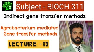 indirect gene transfer methods  gene transfer by agrobacteriumagrobacterium mediated gene transfer [upl. by Bradleigh]