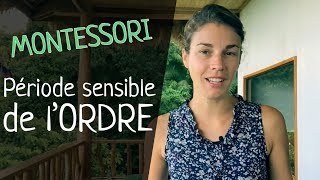 Pédagogie MONTESSORI la période sensible de lORDRE [upl. by Jutta]