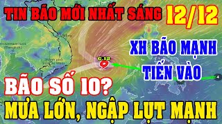 Sáng Ngày 1212Áp Thấp Mạnh Lên Đổ BộATNĐ Mới Tiến VàoBão Số 10 TăngMưa Lớn 3 MiềnDiy Skills [upl. by Sturrock470]