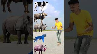 Wild Animals To Wild Animals Name Talking shorts mmmrazz funny comedy [upl. by Natale]