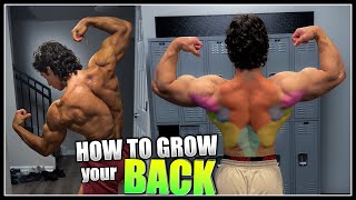 How to Grow your BACK  Pull Day Workout [upl. by Chelsea]