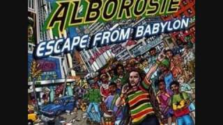 Alborosie  No Cocaine [upl. by Michelsen]