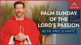 Palm Sunday of the Lords Passion  Mass with Fr Mike Schmitz [upl. by Ordnagela240]