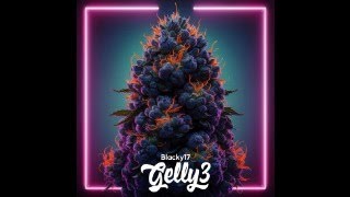 Blacky17  GELLY3 Lyric Video [upl. by Eerrehc]