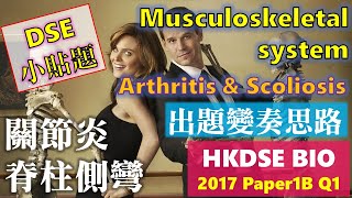 【小貼題】DSE Bio │ HKDSE 2017 1B Q1 │ musculoskeletal system 肌肉骨骼系統 │ Faith Education 雙語Bilingual [upl. by Immot]