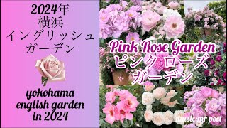 【2024年 横浜イングリッシュガーデン 〜ピンクローズ ガーデン〜】yokohama english garden「pink rose garden」 [upl. by Eneluj]