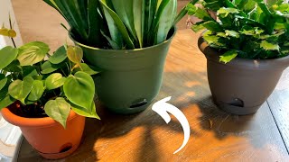 Self Watering Pots Explained  Easy Plant Care [upl. by Arutek728]