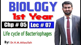 Life cycle of Bacteriophages  Chapter 5  1st year Biology  Lec  7 [upl. by Aikim]