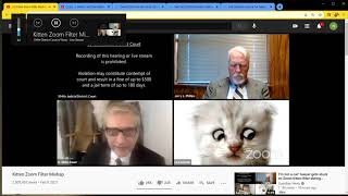 Cat Lawyer Filter Technically Explained [upl. by Eiderf954]