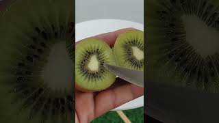 Kiwi Seeds Extraction From Fruit 🥝 kiwi kiwifruits seedsextraction [upl. by Anerdna419]