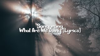 Sangarang  What Are We Doing Lyrics Video feat KRIMETZ [upl. by Anileve]