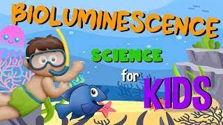 Bioluminescence  Science for Kids [upl. by Lienet]