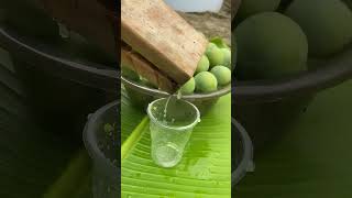 Special Way Of Squeezing Green Plum Juice [upl. by Briant253]