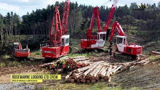 Madill 124 Swing Yarder  Rosewarne Logging Ltd [upl. by Netsrejk]