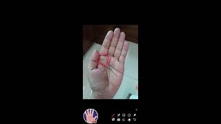 Palmist Bhardwaj is live [upl. by Oirasor]