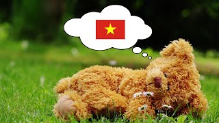 Learn Vietnamese While You Sleep  1000 Important Vietnamese Words amp Phrases [upl. by Ayidan]