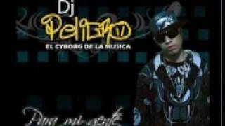 Dj Peligro ft Kale  reggaeton de la quinceaÃ±era 2010 [upl. by Hayse]