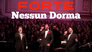 Forte  Nessun Dorma  Carnegie Hall Debut [upl. by Los]