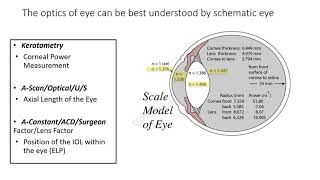 Biometry Part I Keratometry  Part II on Biometry will be available at quickguideorg [upl. by Cote]