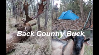 Back Country Buck  A Fallow Deer Hunt in New South Wales [upl. by Idna]