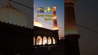 Delhi ka jama masjid ✨🕌💖 islamicstatus masjid jamamasjid delhi viralvideo [upl. by Aeslahc]