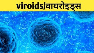 viroids in hindi viroids disease structure of viroidsviroids potato disease [upl. by Gunter371]