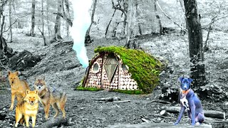 a built a beautiful cabin with a fireplace start to finish bushcraftoutdoors skills wild jackals [upl. by Corinne413]