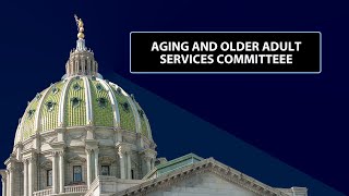 Aging and Older Adult Services Committee  May 22 2024 [upl. by Zennas]