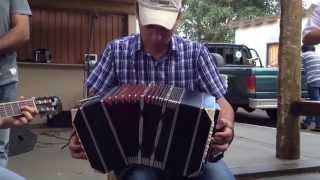 Chamamé  Bandoneon  Thalysson Nogueira [upl. by Eicyal750]